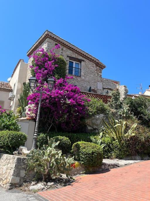 Strelizia - New Central Old Antibes For 4 Ac Εξωτερικό φωτογραφία