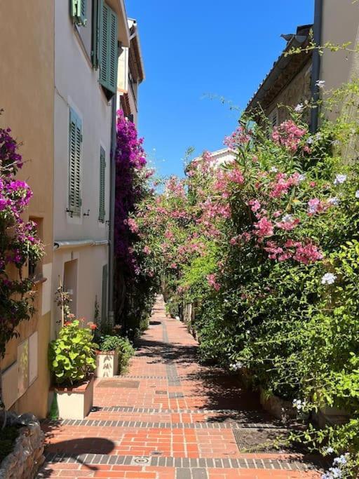 Strelizia - New Central Old Antibes For 4 Ac Εξωτερικό φωτογραφία